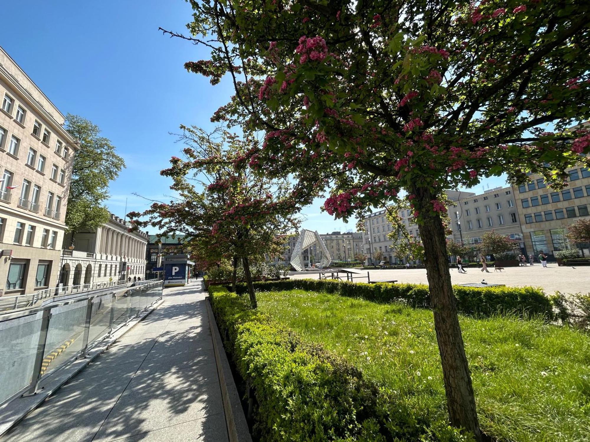 Apartamenty Pl. Wolnosci 6 ポズナン エクステリア 写真